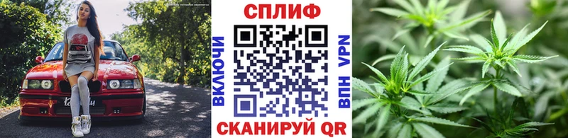 Купить закладки  Заводоуковск  Шишки марихуана OG Kush 